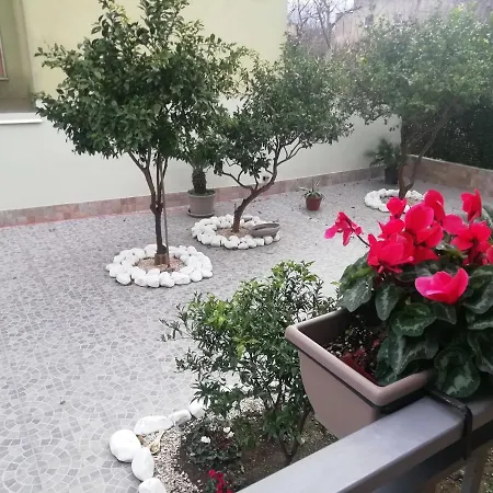 Fitta Mavi