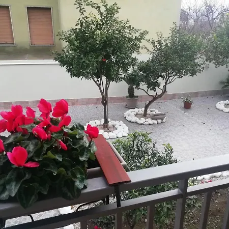 Fitta Mavi