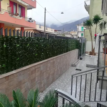 Fitta Mavi